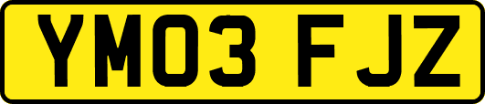YM03FJZ