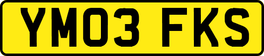YM03FKS