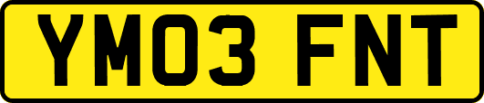 YM03FNT