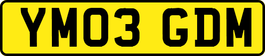 YM03GDM