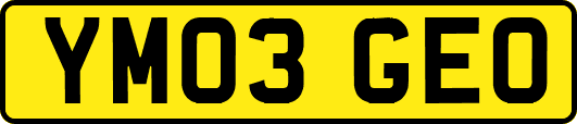 YM03GEO