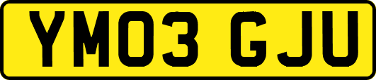 YM03GJU