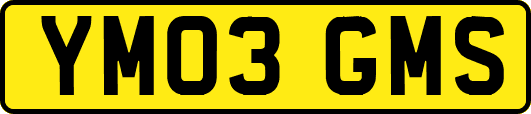 YM03GMS