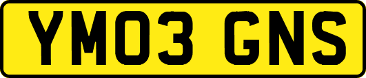 YM03GNS