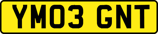YM03GNT