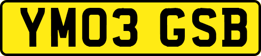 YM03GSB
