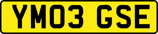 YM03GSE