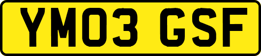 YM03GSF
