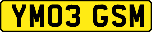 YM03GSM