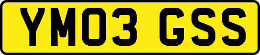 YM03GSS
