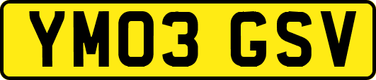 YM03GSV