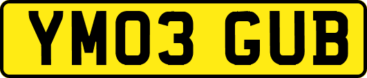 YM03GUB