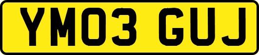 YM03GUJ