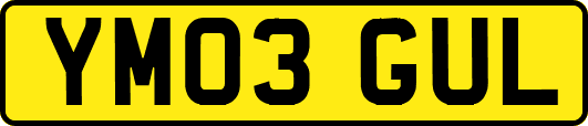 YM03GUL