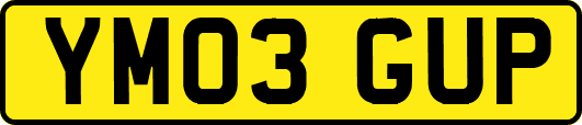 YM03GUP