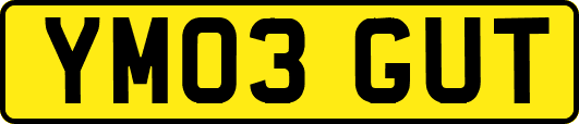 YM03GUT