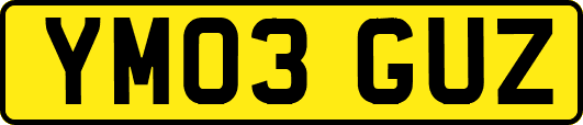 YM03GUZ