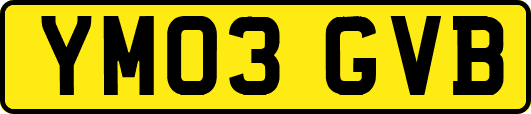 YM03GVB