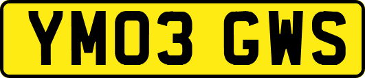 YM03GWS
