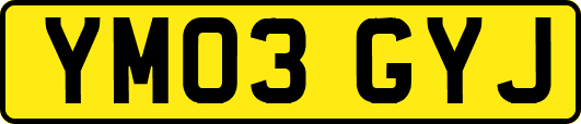YM03GYJ