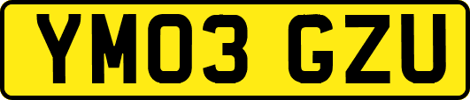 YM03GZU
