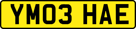 YM03HAE