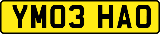 YM03HAO
