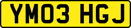 YM03HGJ