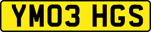 YM03HGS