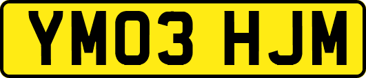 YM03HJM