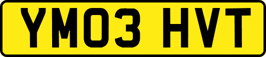 YM03HVT