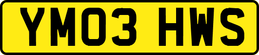 YM03HWS