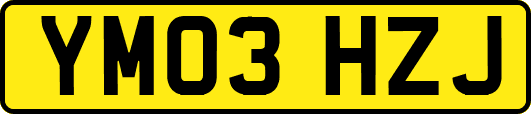 YM03HZJ