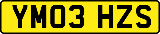 YM03HZS