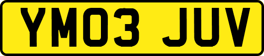 YM03JUV