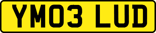 YM03LUD