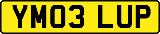 YM03LUP
