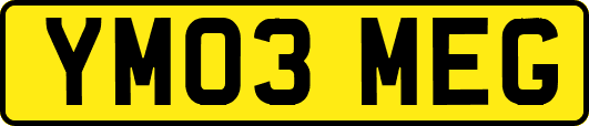 YM03MEG