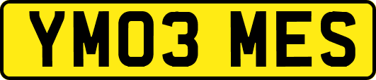 YM03MES