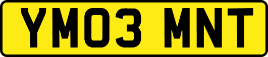 YM03MNT