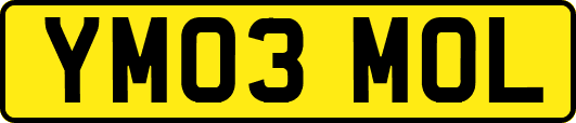YM03MOL