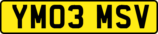 YM03MSV