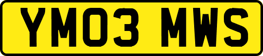 YM03MWS