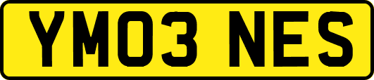 YM03NES
