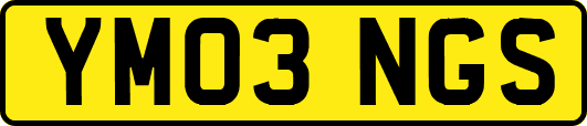 YM03NGS