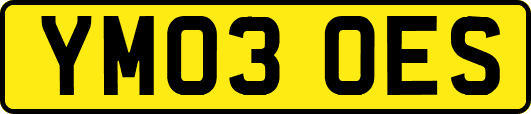 YM03OES
