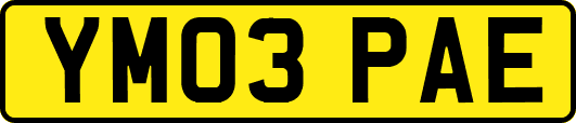 YM03PAE