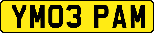 YM03PAM