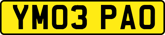 YM03PAO