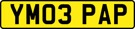 YM03PAP